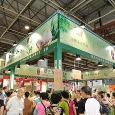 2019成都、重庆国际食品博览会暨端午粽子文化节正式启动
