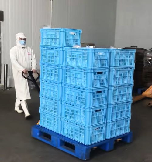 食品厂流水线上班一天,站了12个小时,打工者 一个月瘦了十几斤